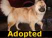 KayDee - ADOPTED