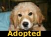  - ADOPTED