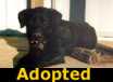 Smiley - ADOPTED