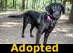 Thelma - ADOPTED