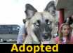 Nikki - ADOPTED