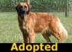 Lady Carrollton - ADOPTED