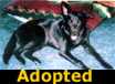 Maya - ADOPTED