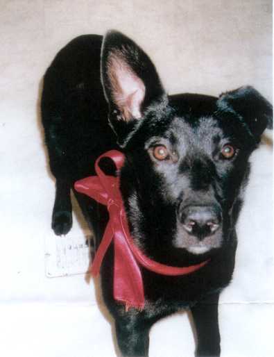 Maya