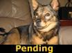 Tot - PENDING