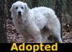 Emma - ADOPTED