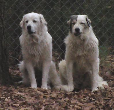 Ella and Emma