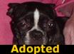 Xenia - ADOPTED