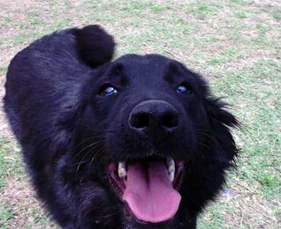 Jack
