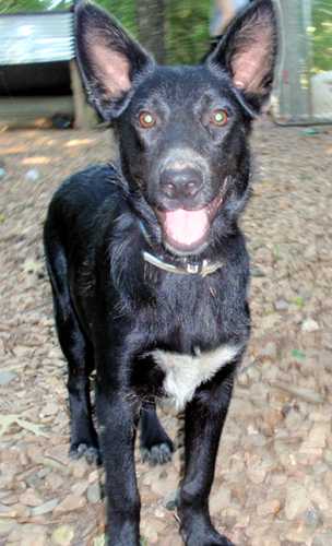 Jack