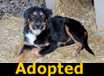 Grainger - ADOPTED