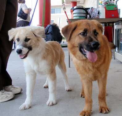 Jenny and Twix