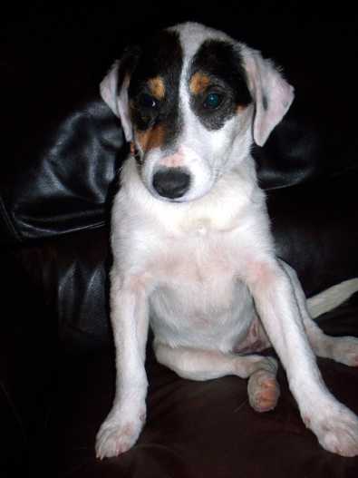 Izzie