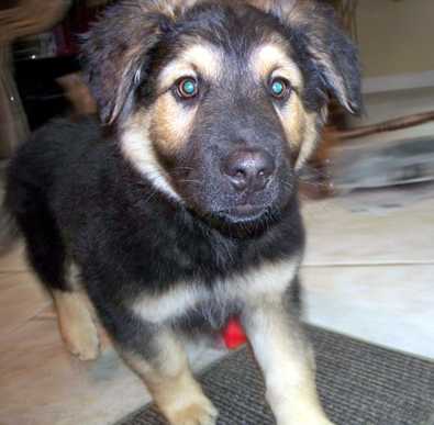 Bilbo