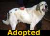 True - ADOPTED