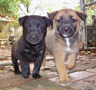 Wriggle (right)