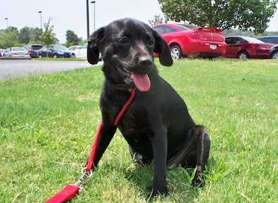 Lilly