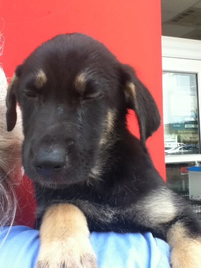 Max