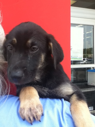 Max