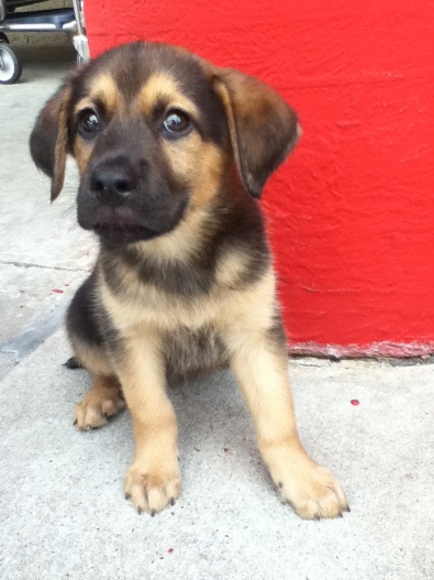 Mason