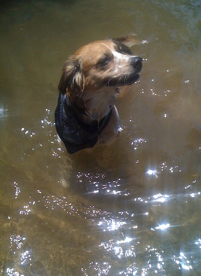 Missy