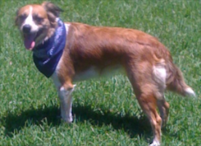 Missy