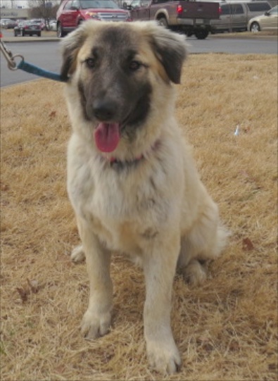 Shiloh