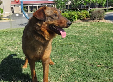 Tucker