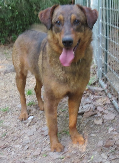 Tucker