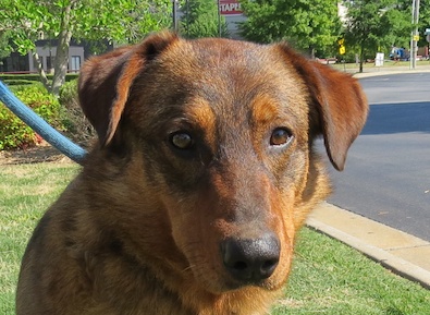 Tucker