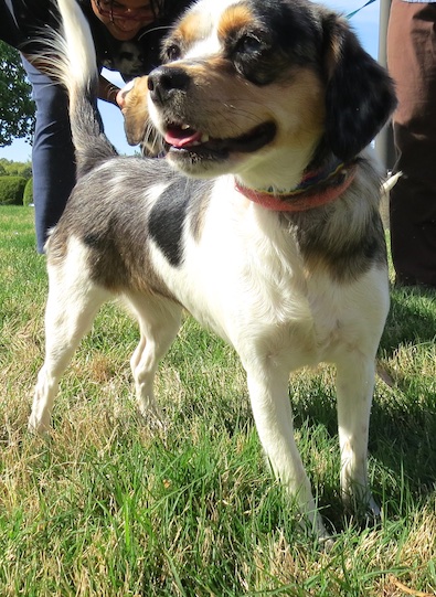 Melba