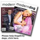 Subscribe to Modern Dog